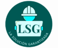 lsg 1